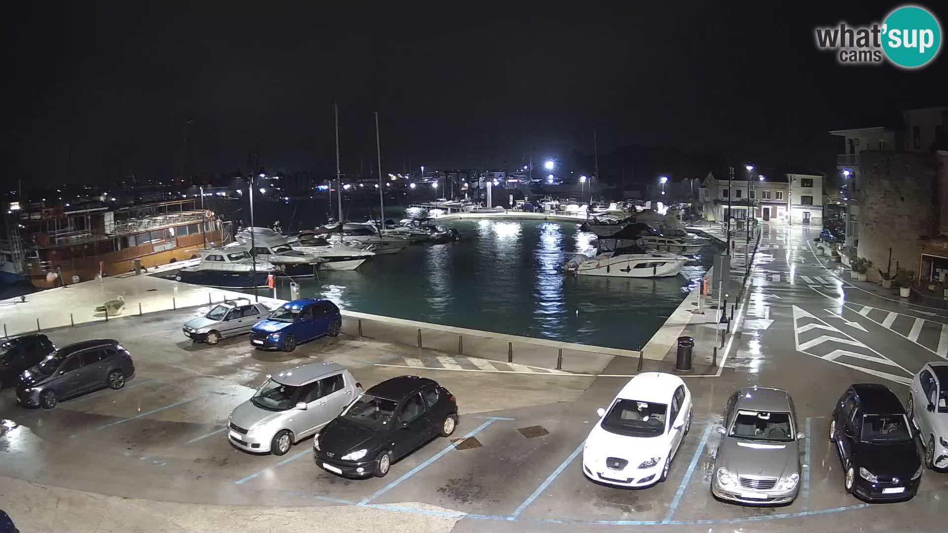 Novigrad | Porporela marina