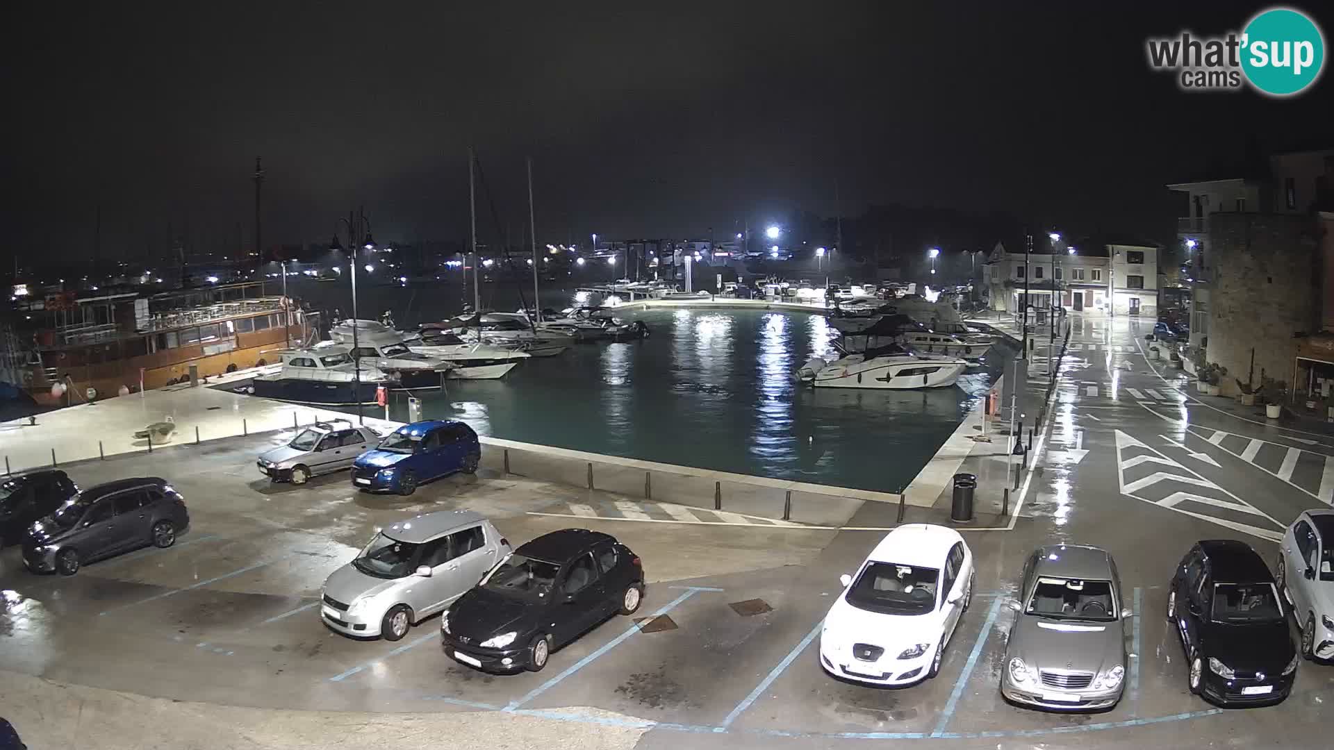 Novigrad | Porporela marina