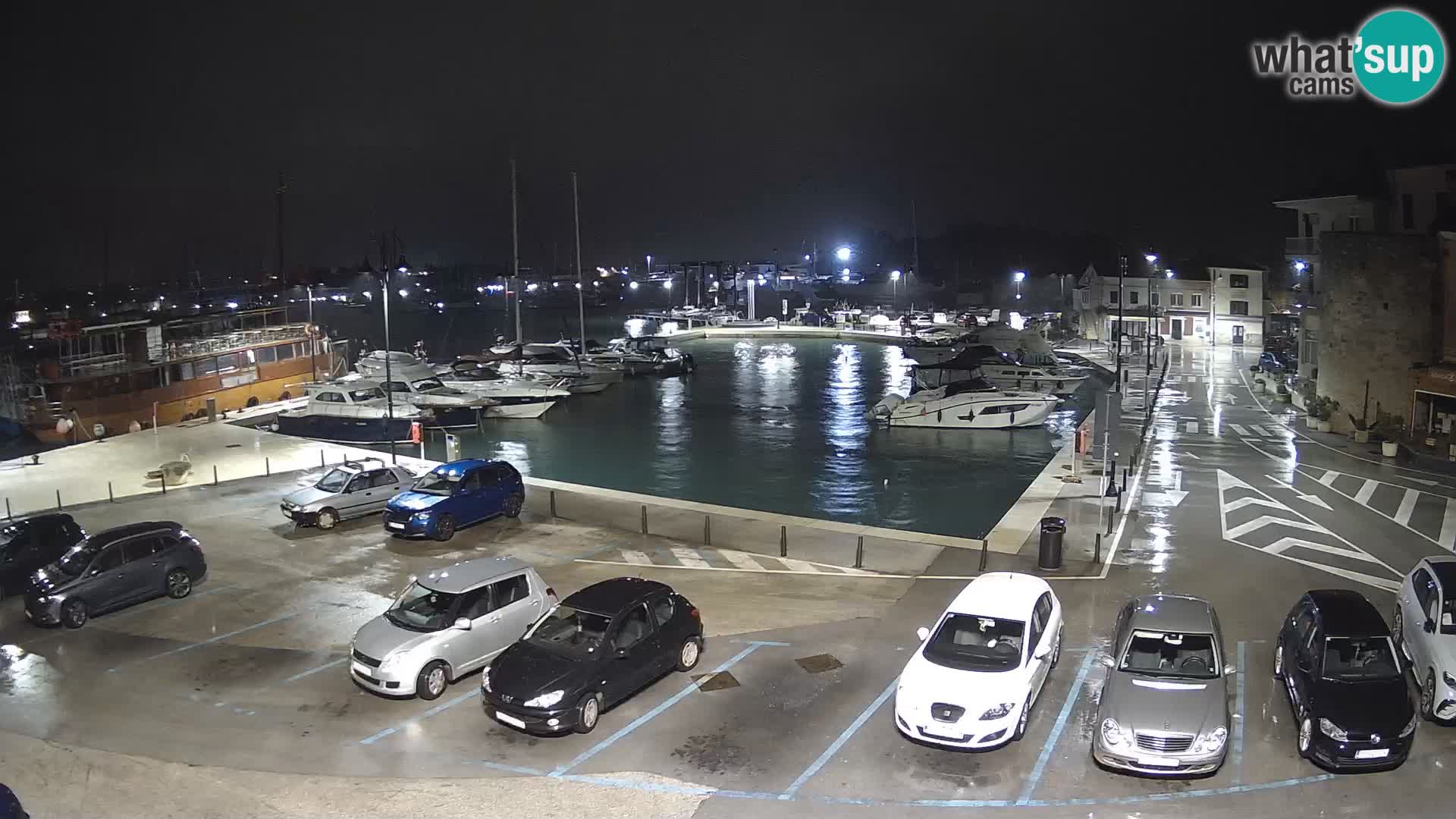 Novigrad | Porporela marina