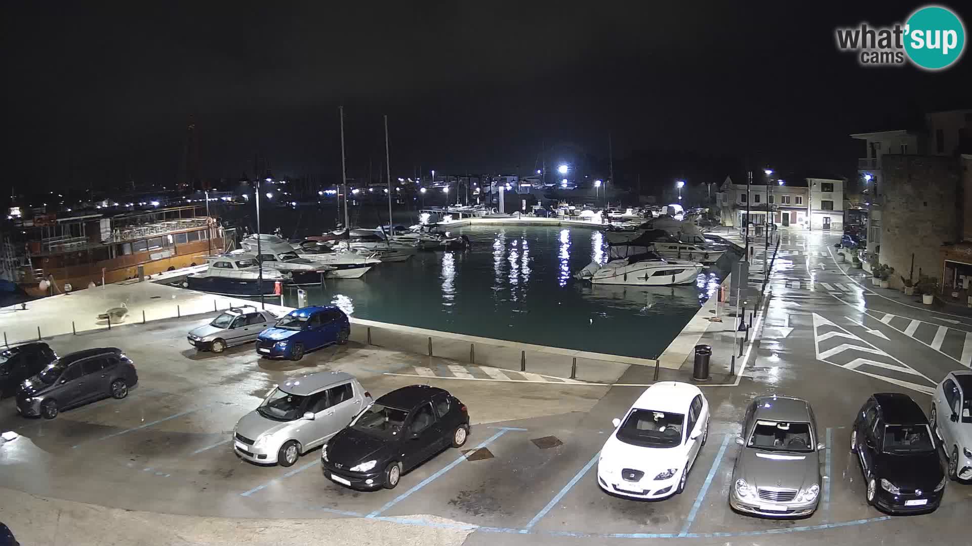 Novigrad | Porporela marina