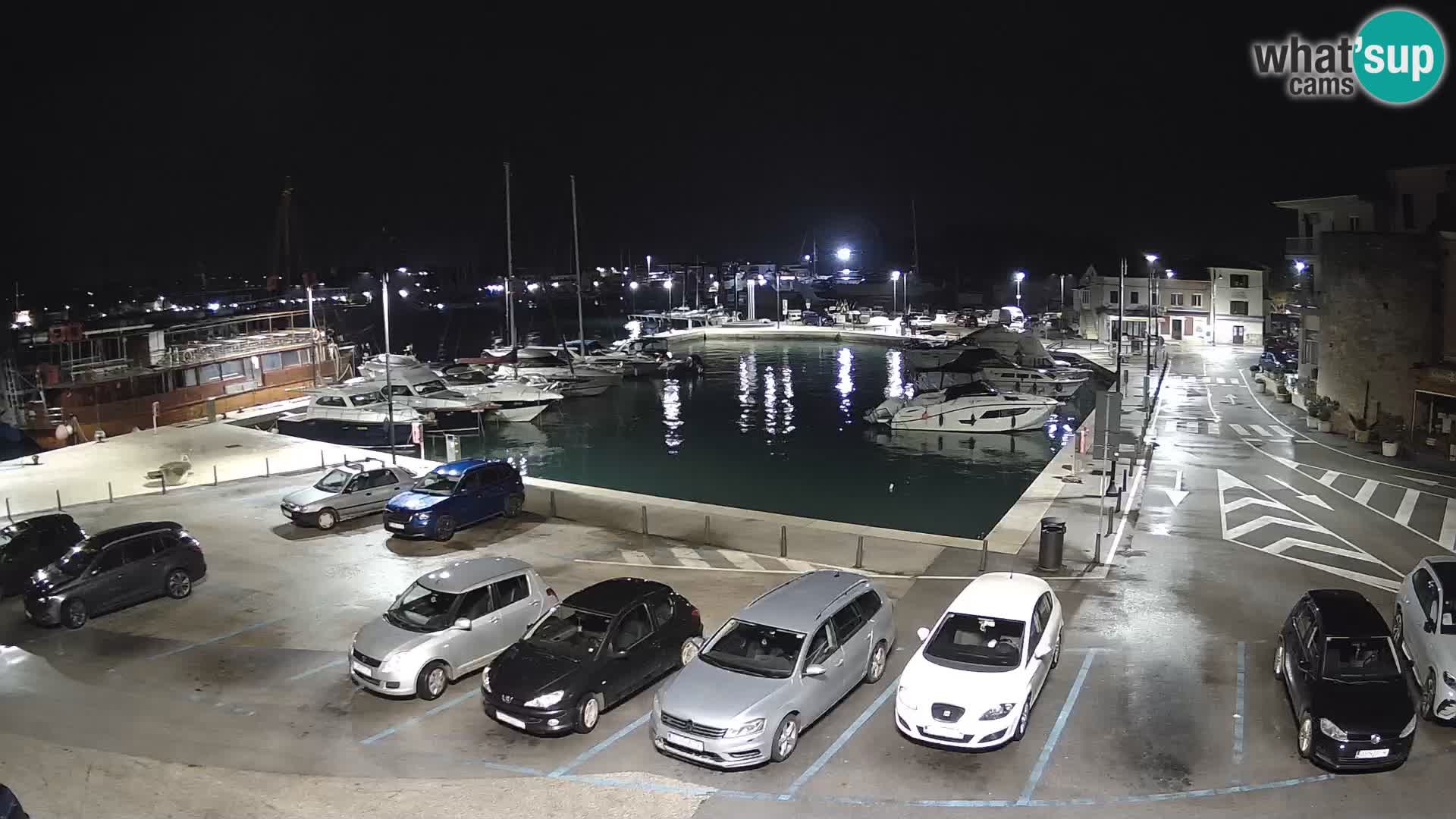 Novigrad | Porporela marina