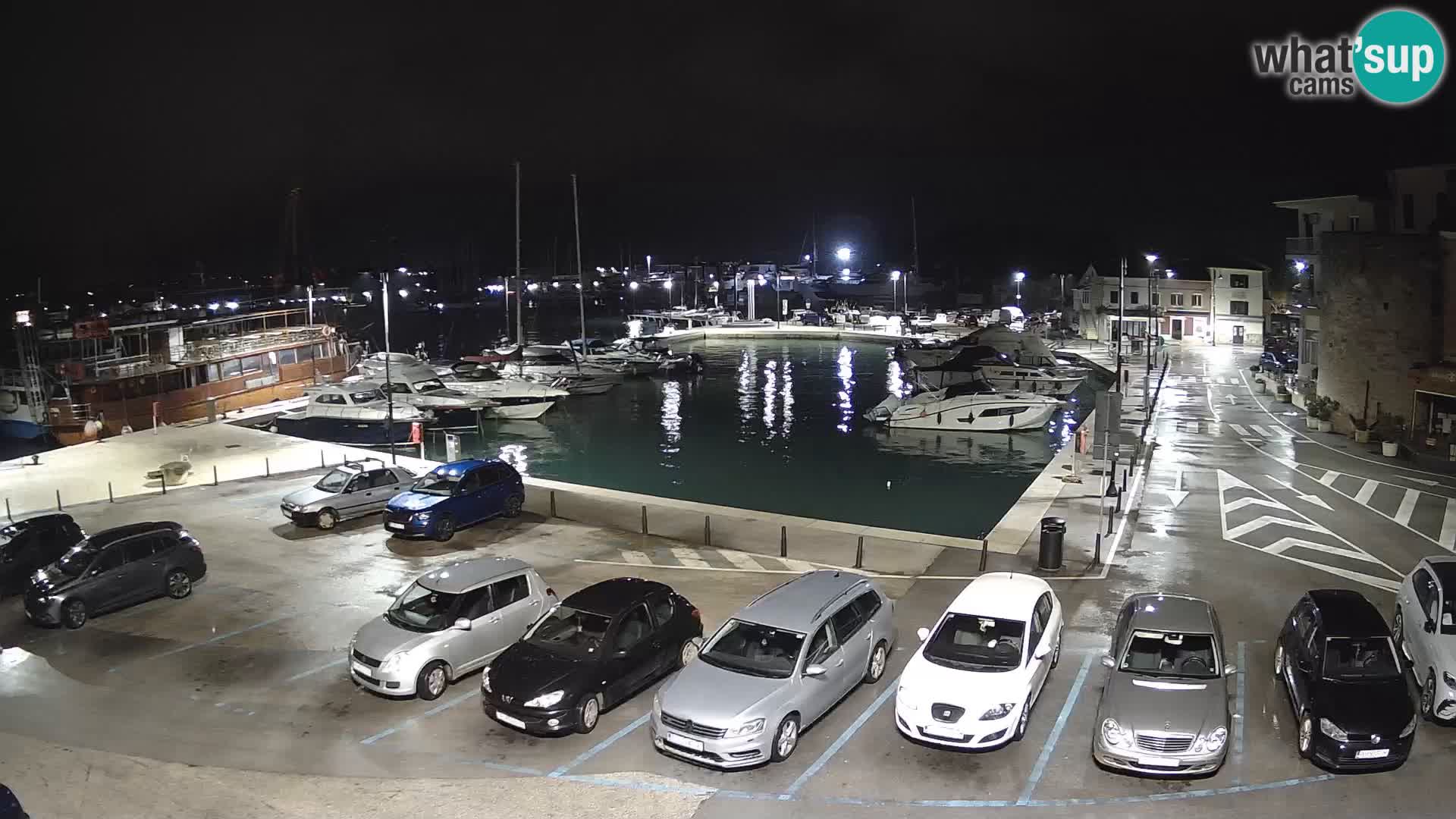 Novigrad | Porporela marina