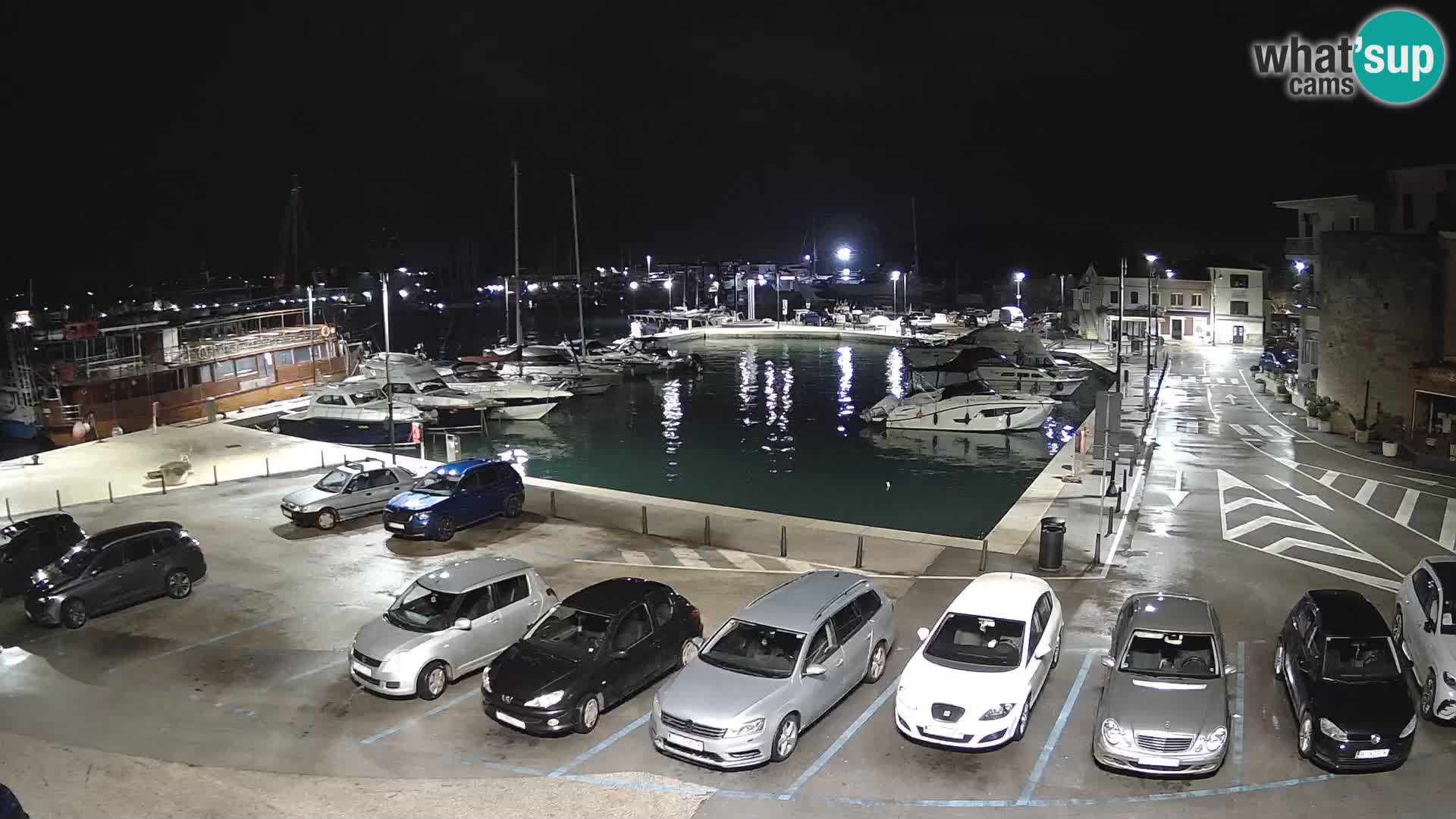 Novigrad | Porporela marina