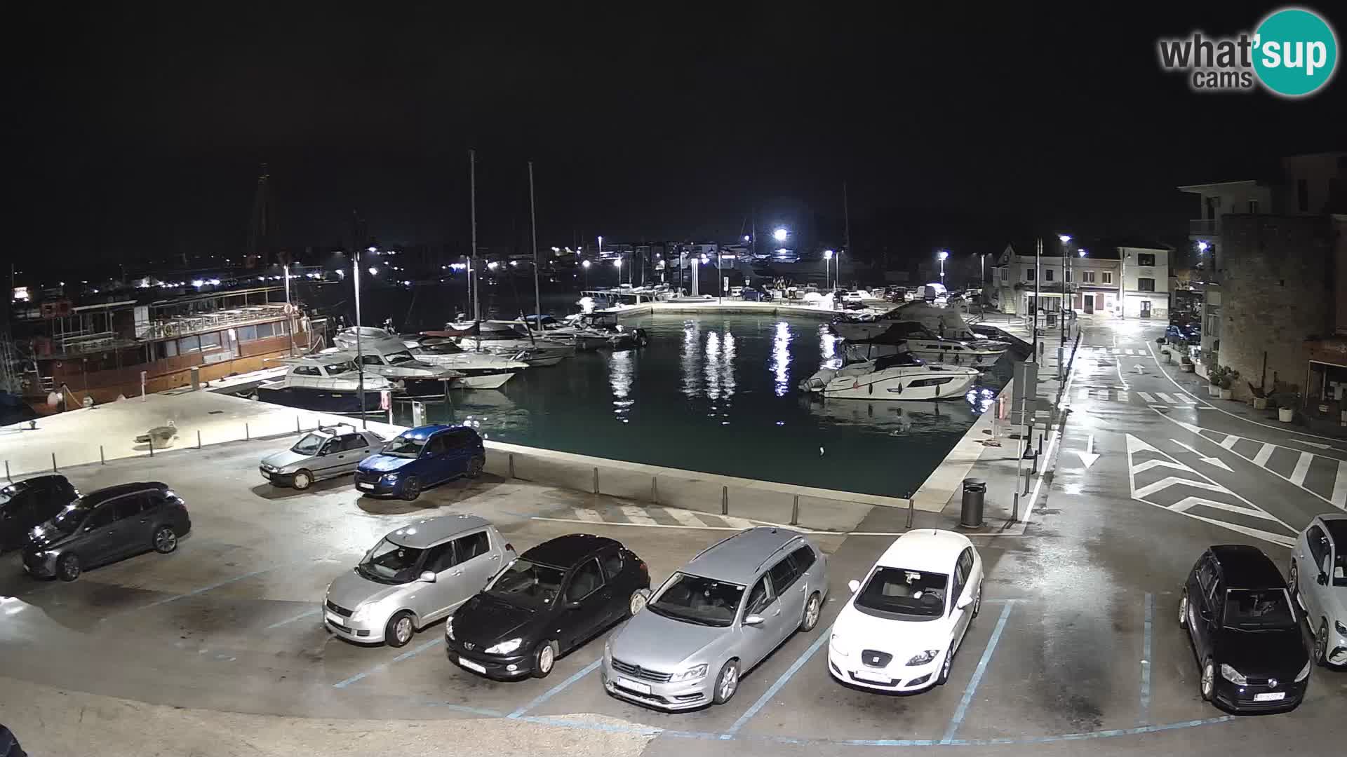 Novigrad | Porporela marina