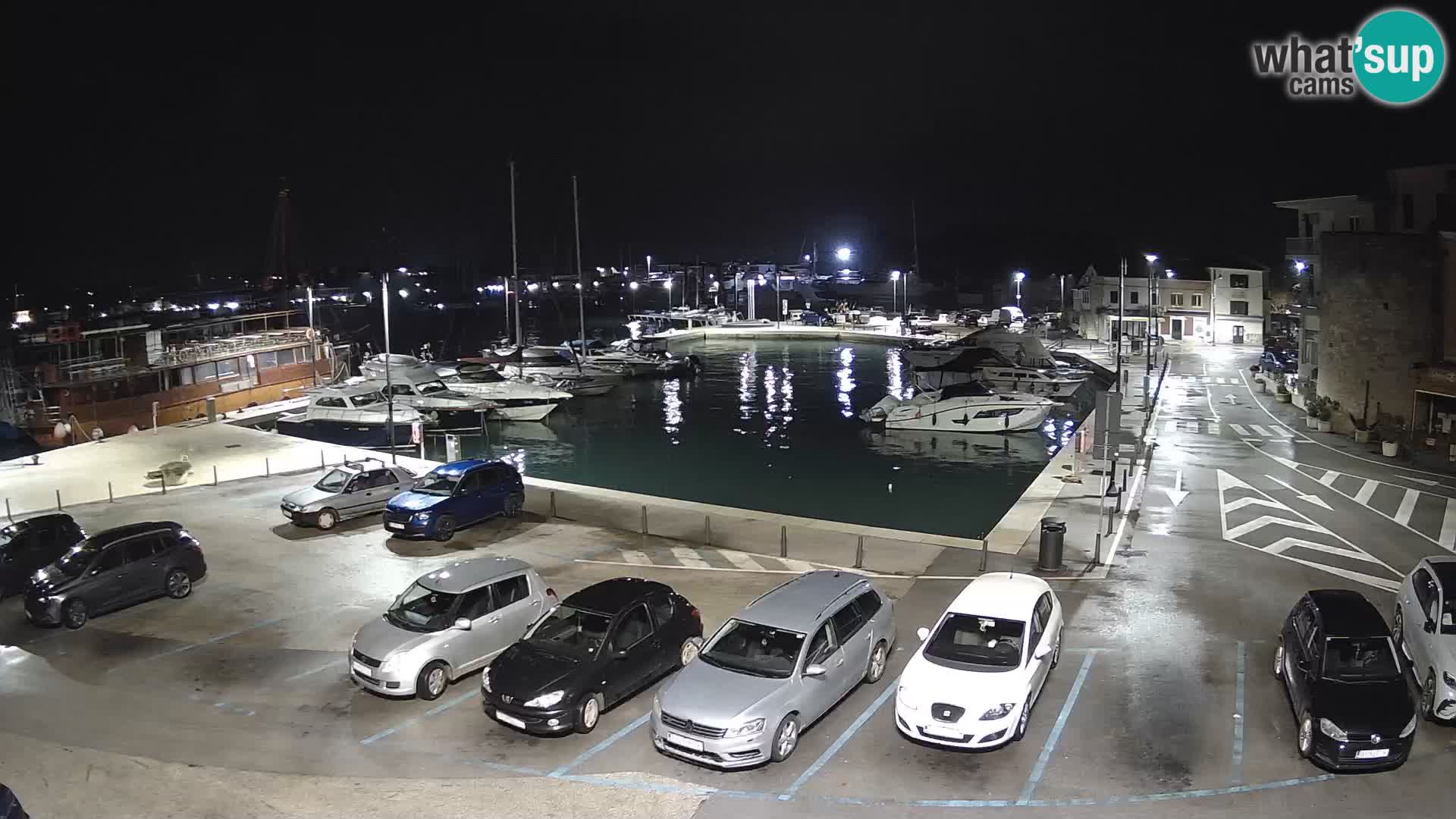 Novigrad | Porporela marina