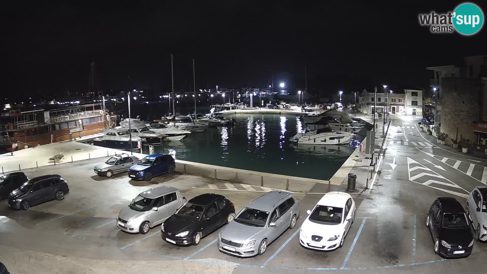 Novigrad | Porporela marina