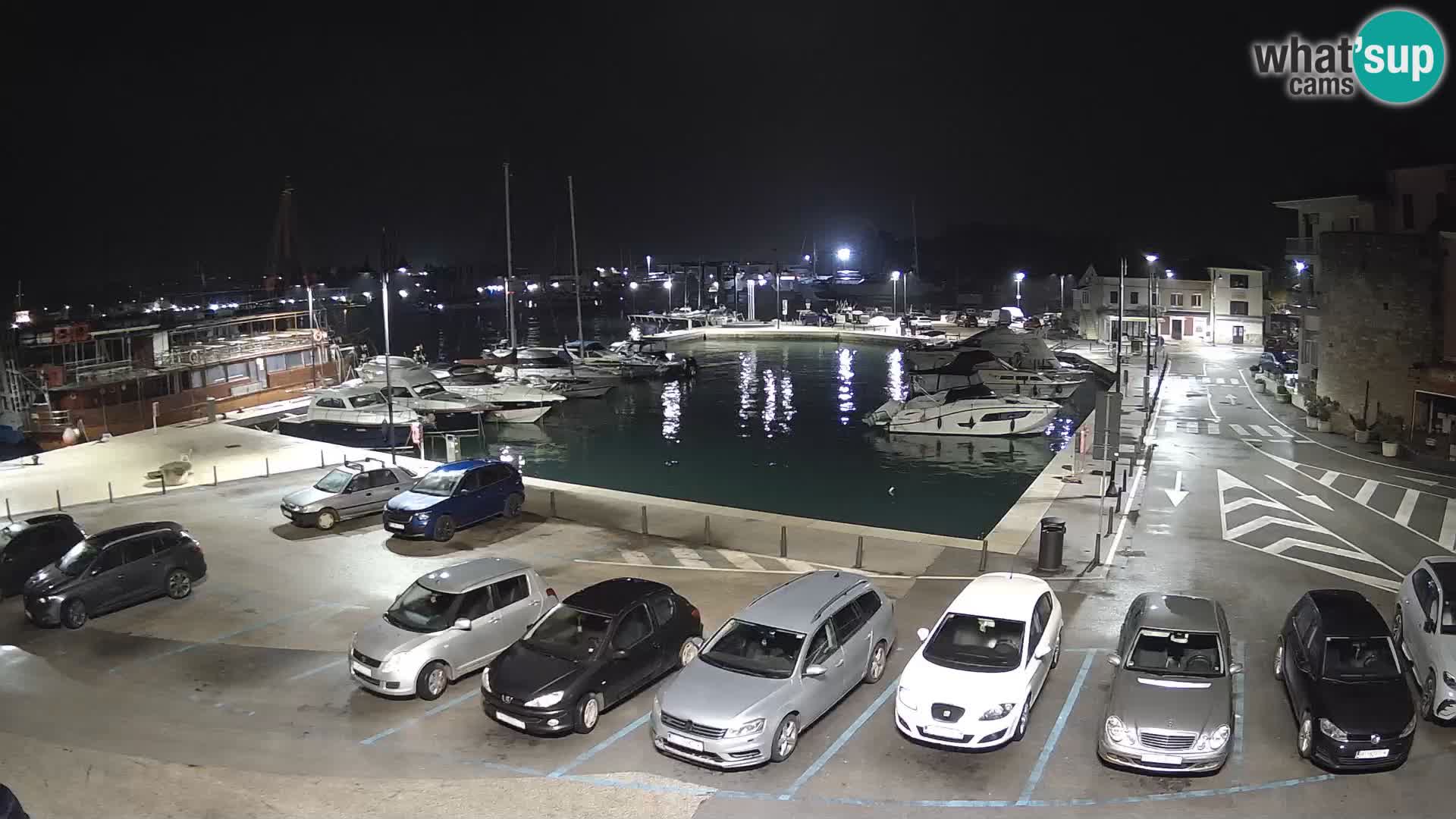 Novigrad | Porporela marina