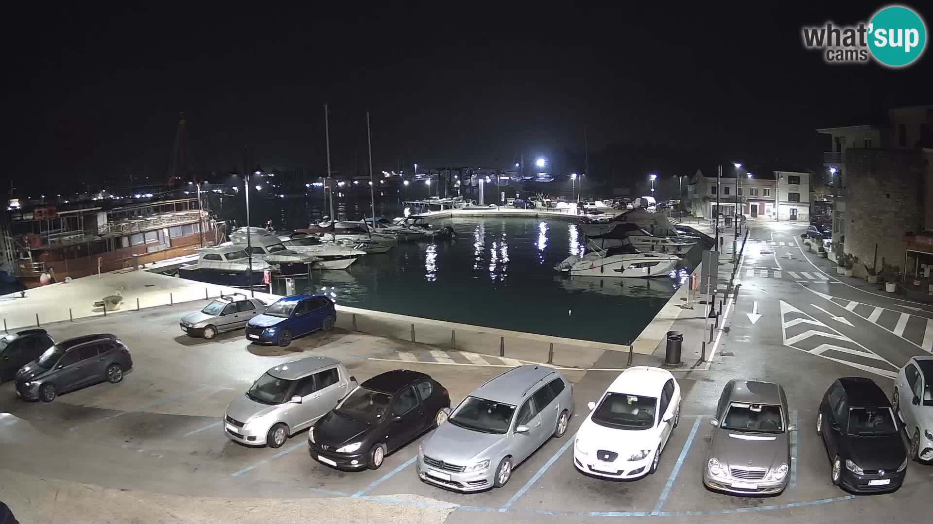 Novigrad | Porporela marina