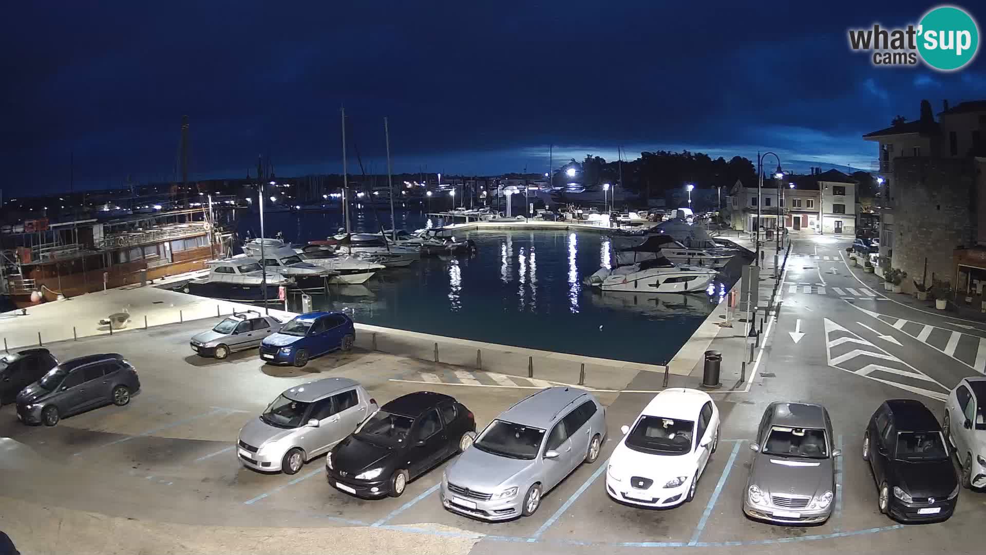 Novigrad | Porporela marina