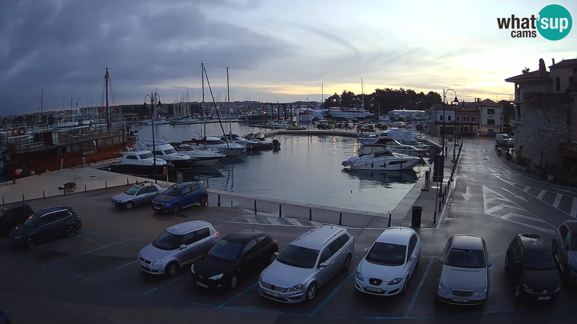 Novigrad | Porporela marina