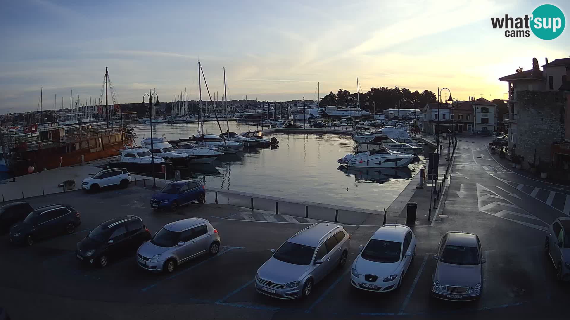 Novigrad | Porporela marina