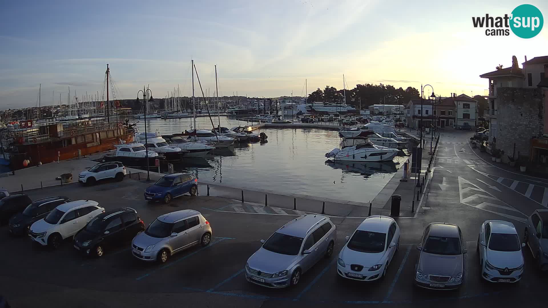 Novigrad | Porporela marina