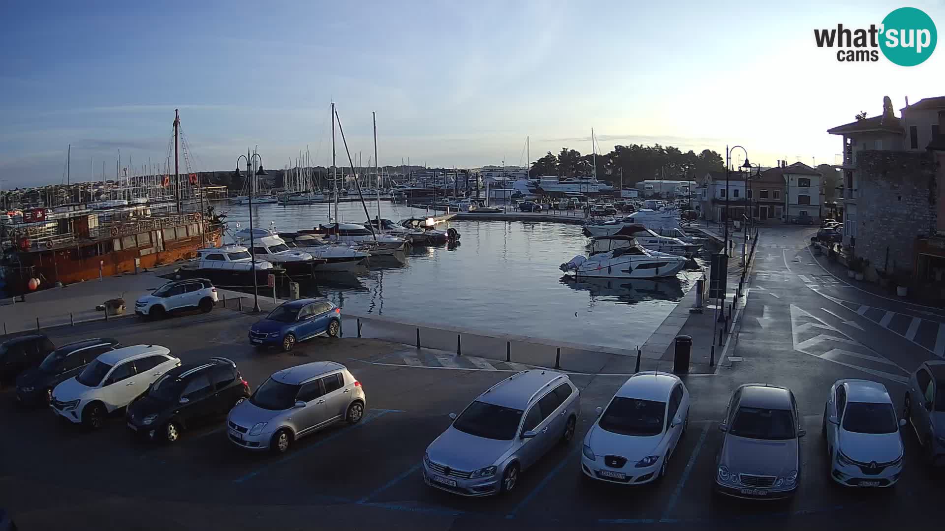 Novigrad | Porporela marina