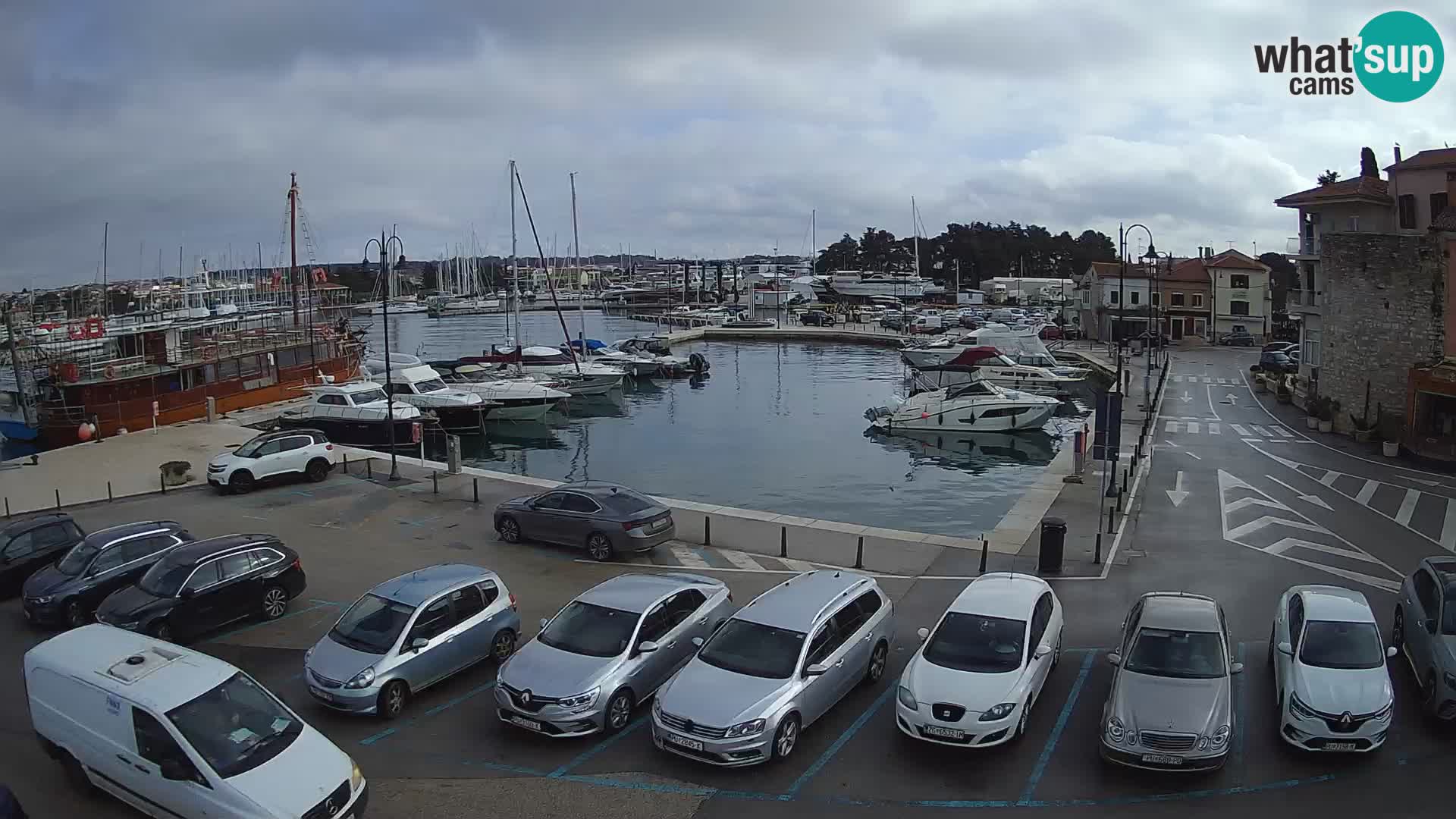Novigrad | Porporela marina