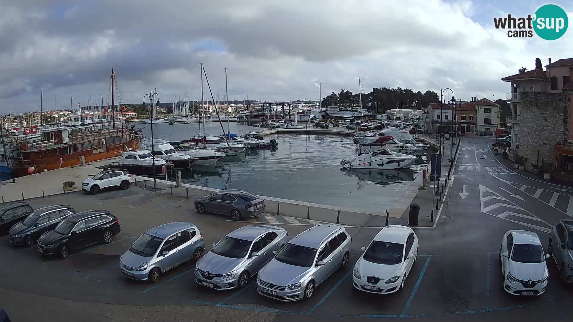 Novigrad | Porporela marina