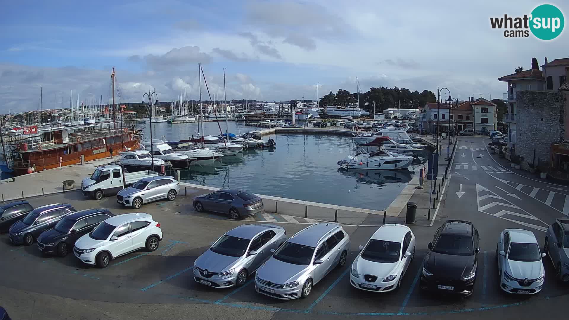 Novigrad | Porporela marina