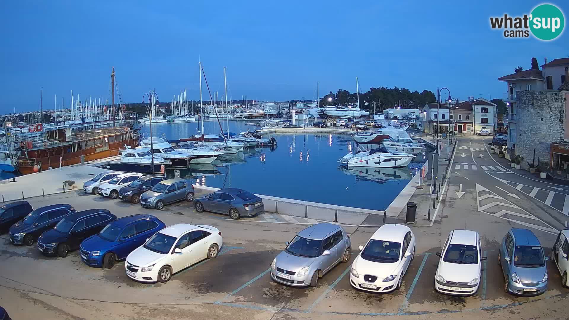 Novigrad | Porporela marina