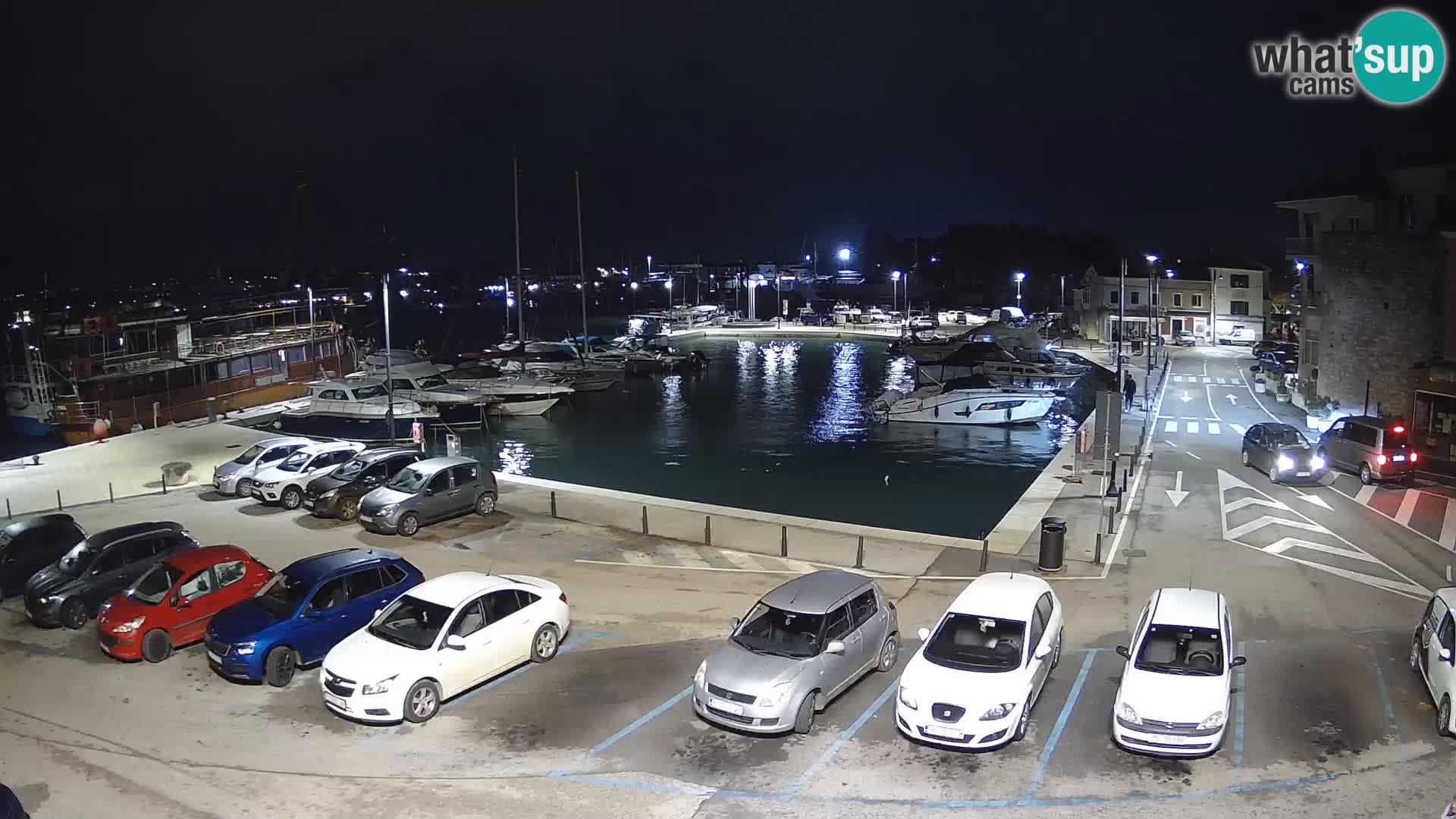 Novigrad | Porporela marina
