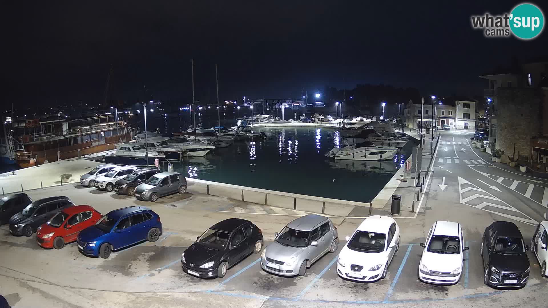 Novigrad | Porporela marina