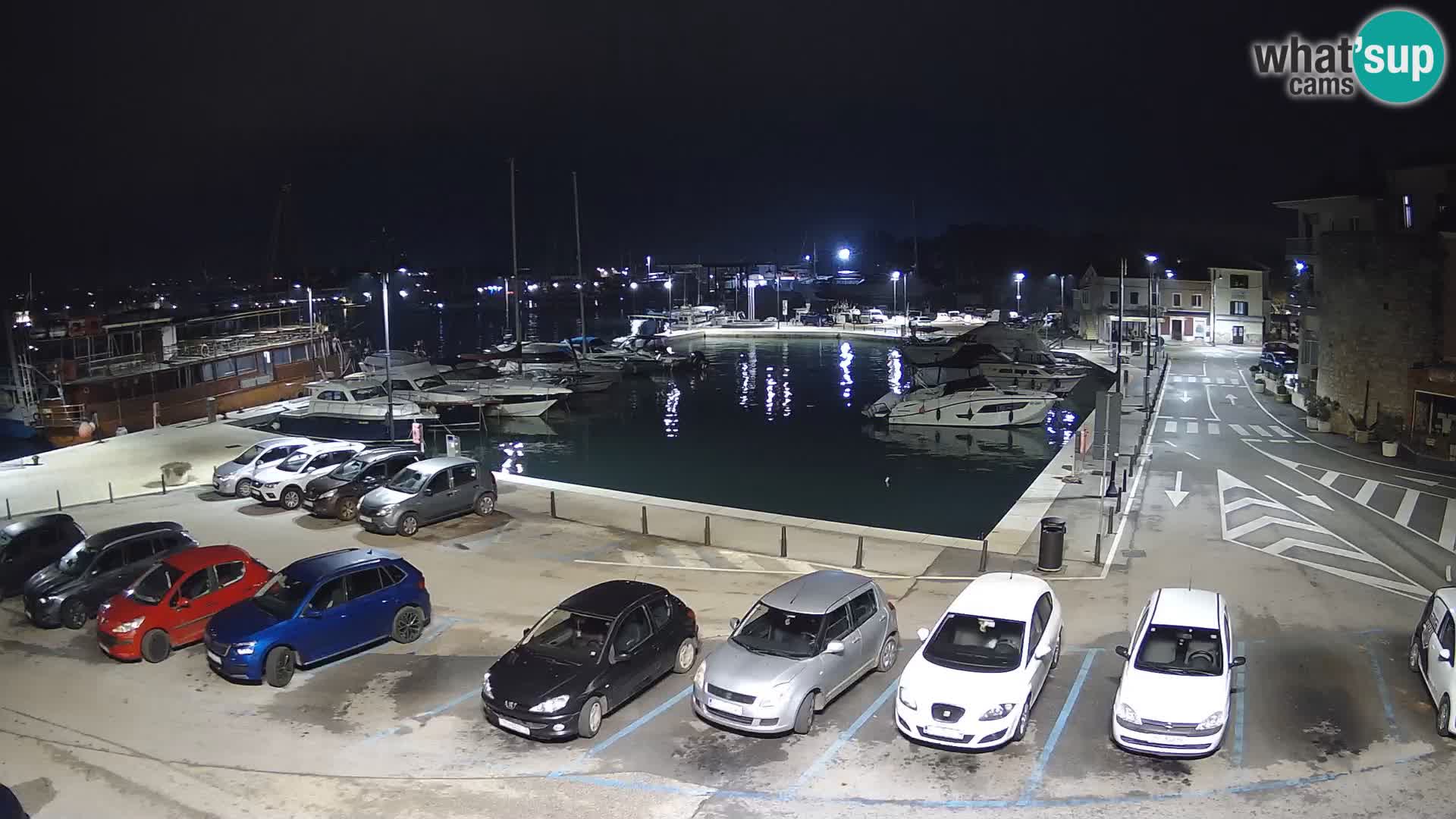 Novigrad | Porporela marina