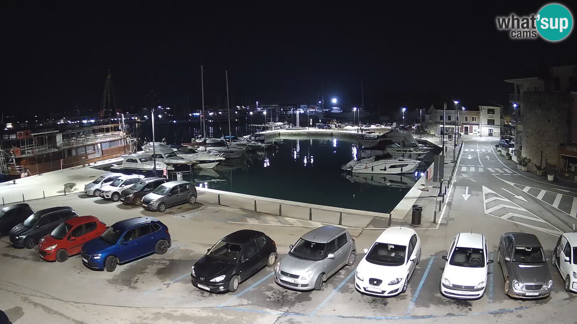 Novigrad | Porporela marina