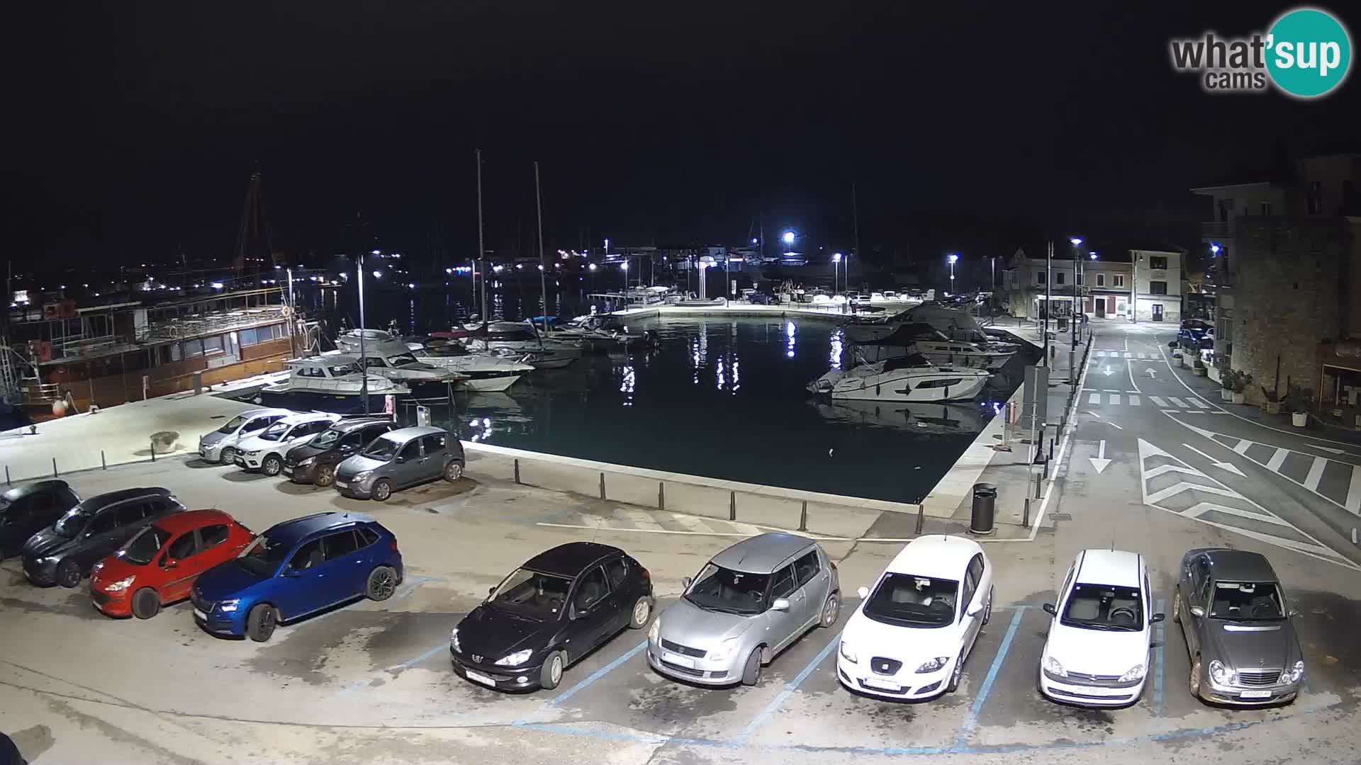 Novigrad | Porporela marina