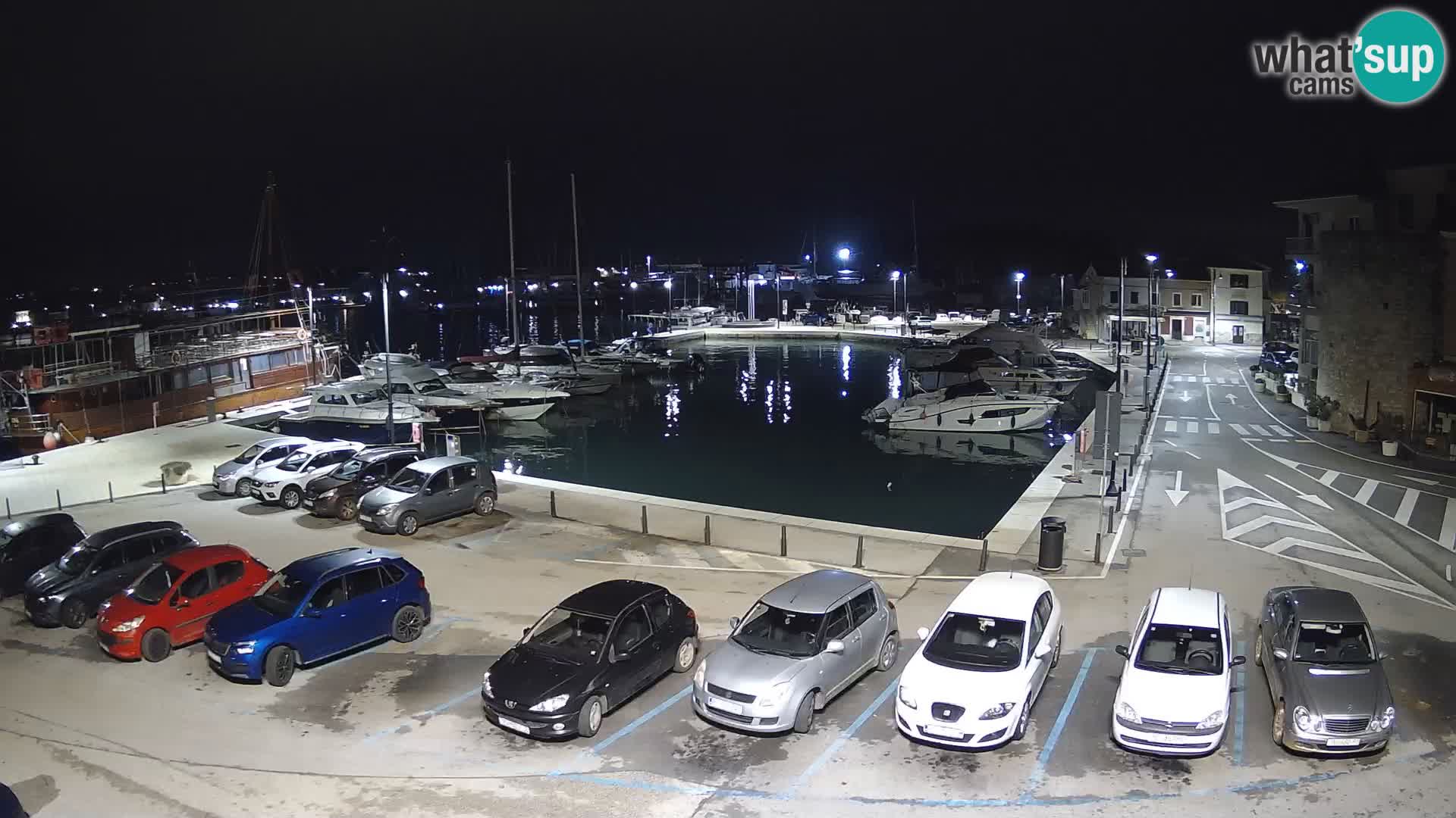 Novigrad | Porporela marina