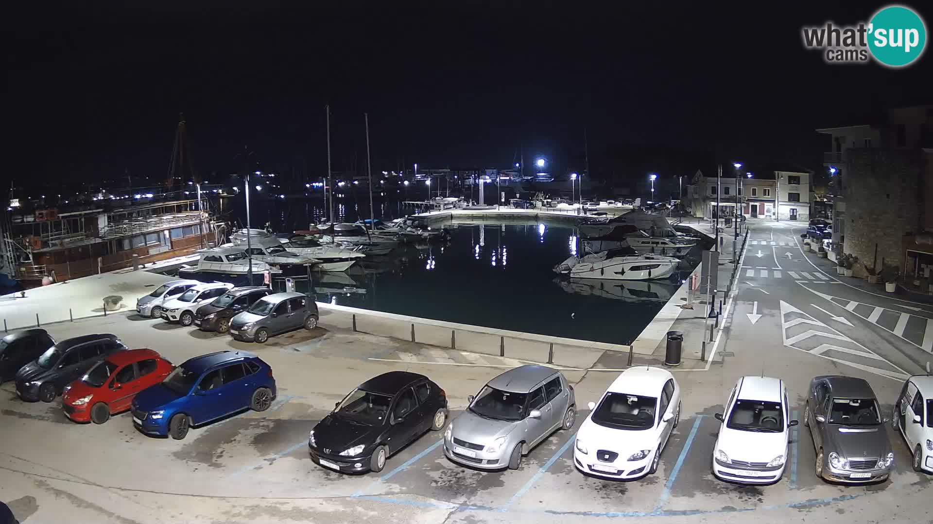 Novigrad | Porporela marina