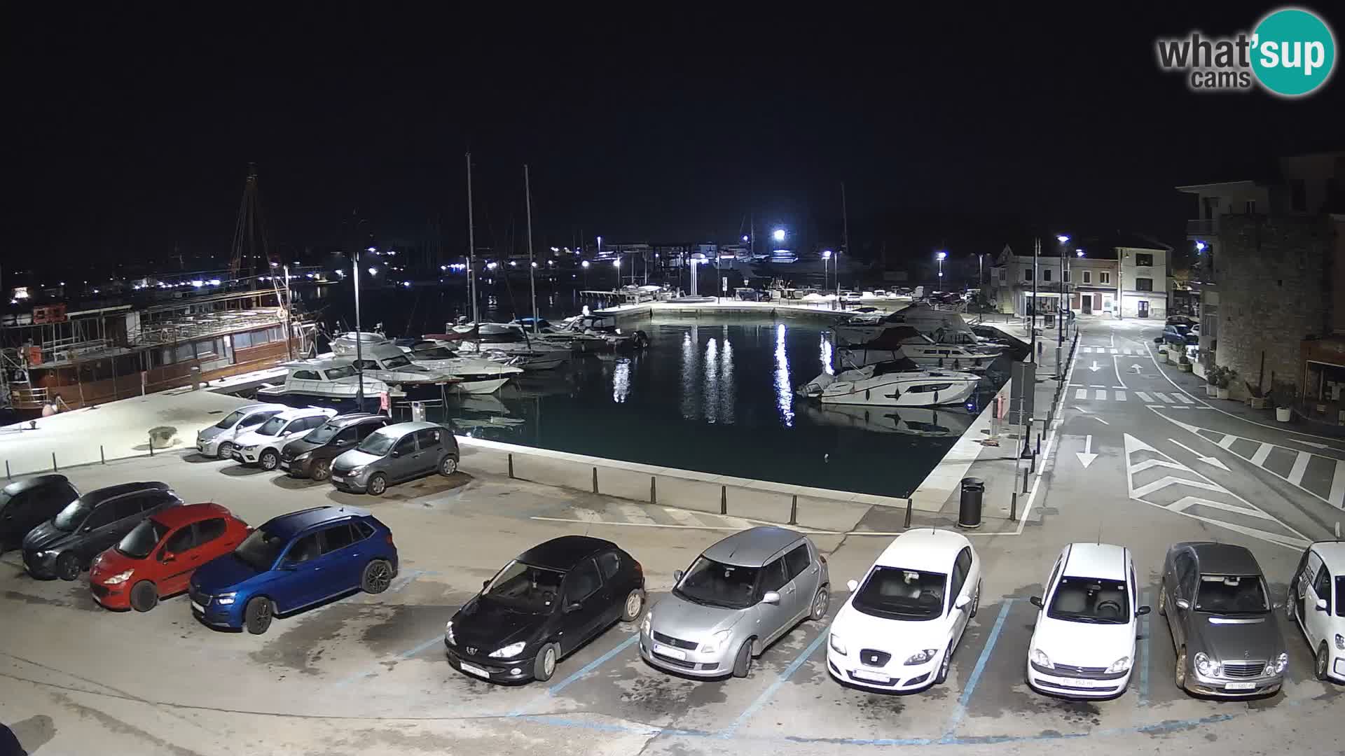 Novigrad | Porporela marina