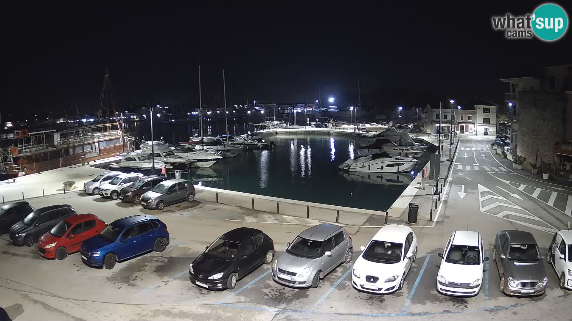 Novigrad | Porporela marina