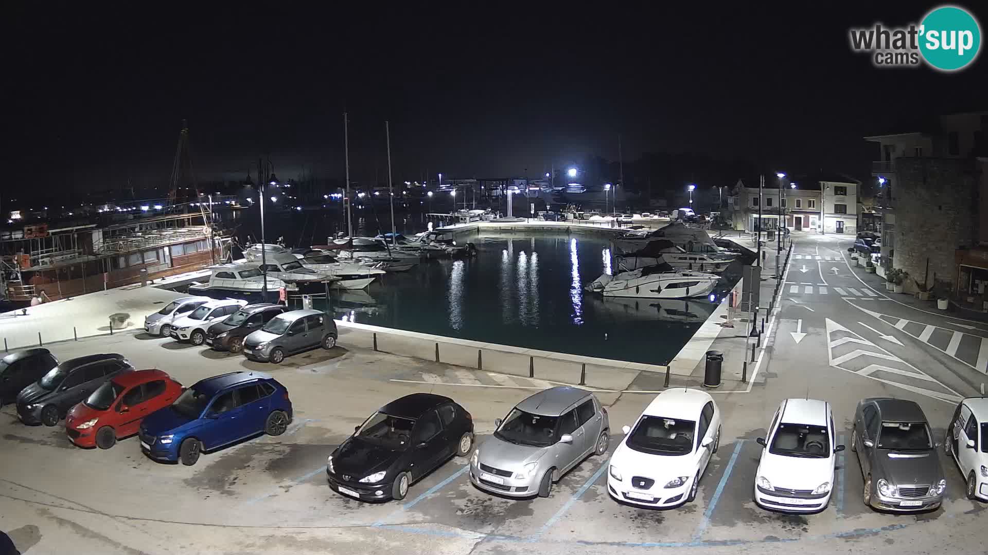 Novigrad | Porporela marina
