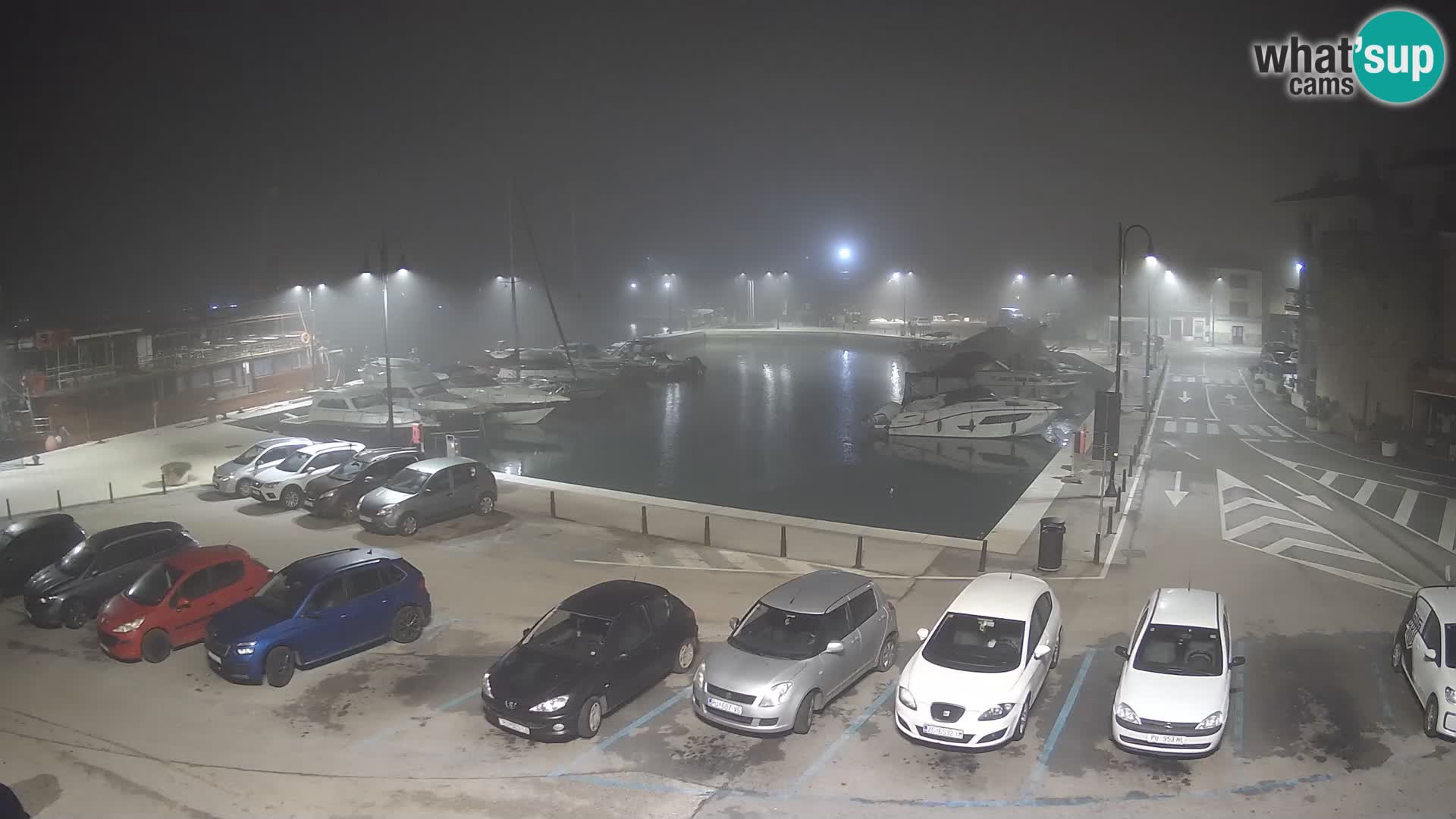 Novigrad | Porporela marina