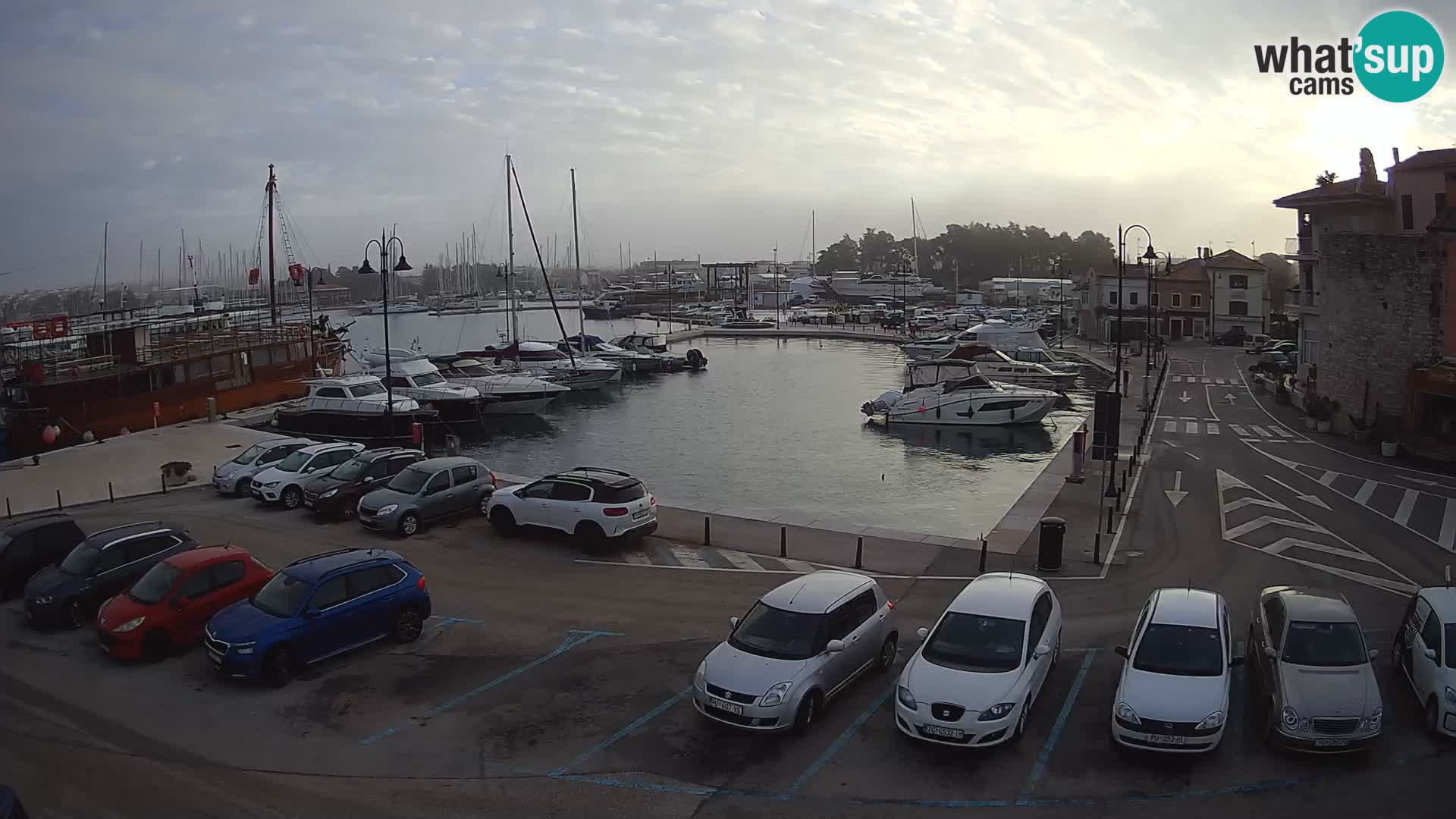 Novigrad | Porporela marina