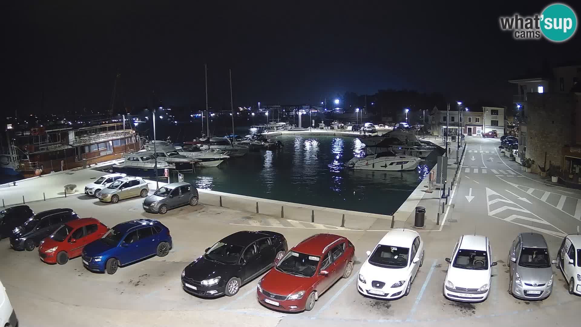 Novigrad | Porporela marina