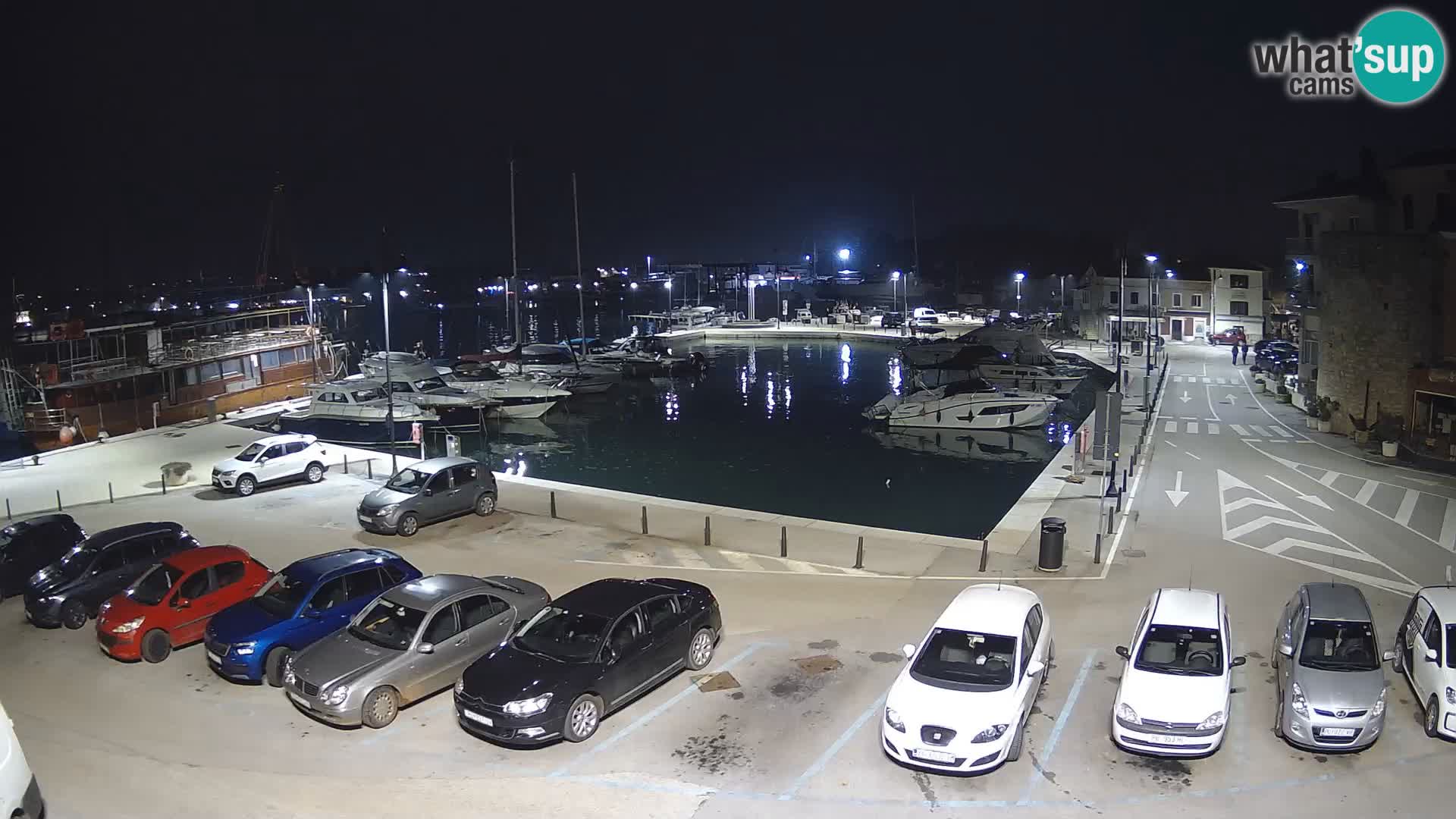 Novigrad | Porporela marina
