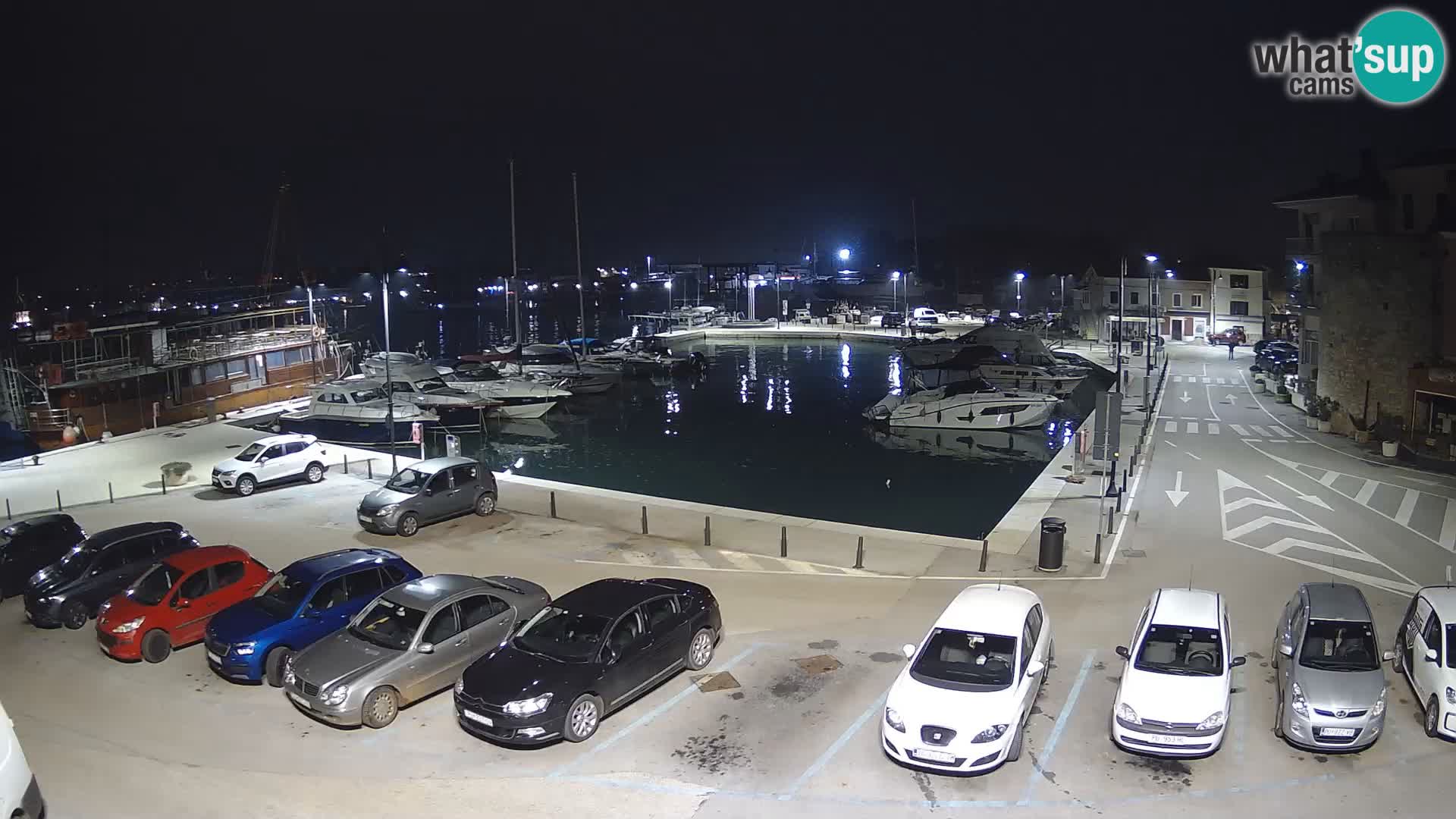 Novigrad | Porporela marina