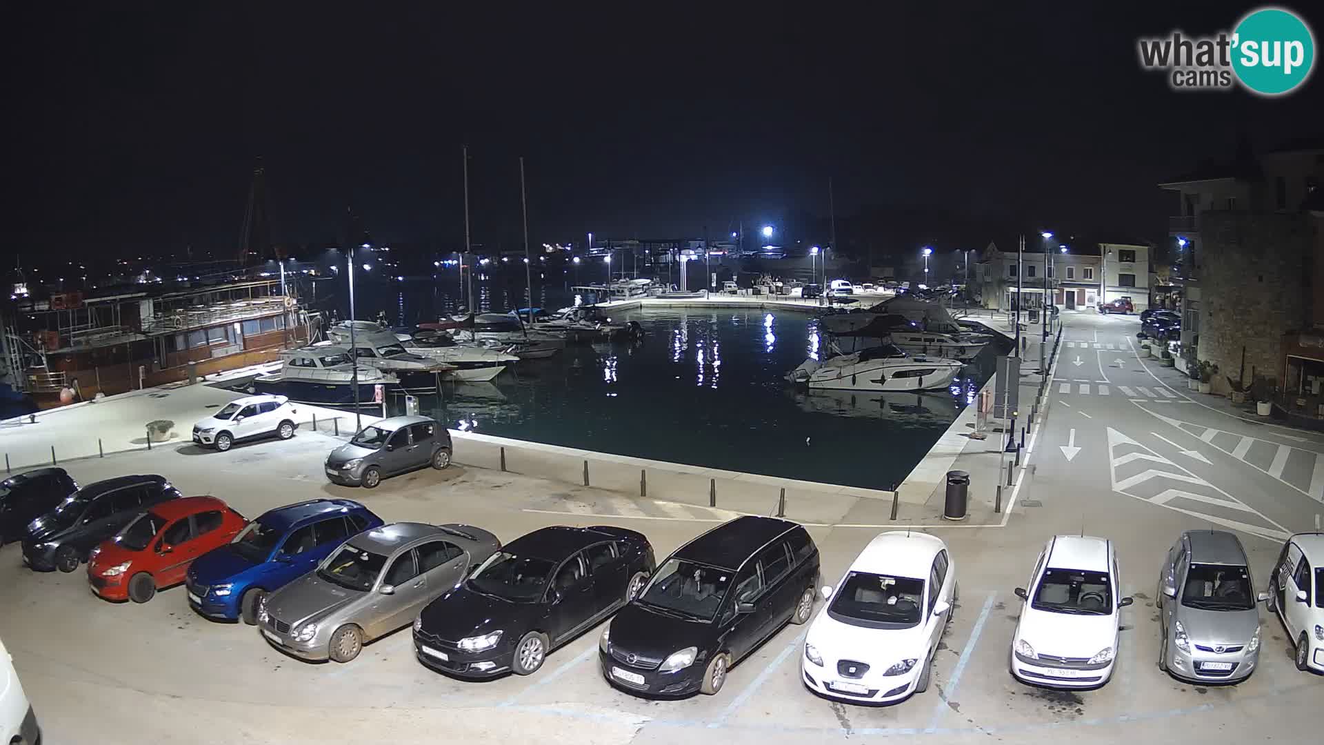 Novigrad | Porporela marina