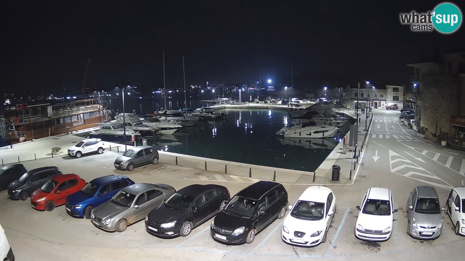 Novigrad | Porporela marina