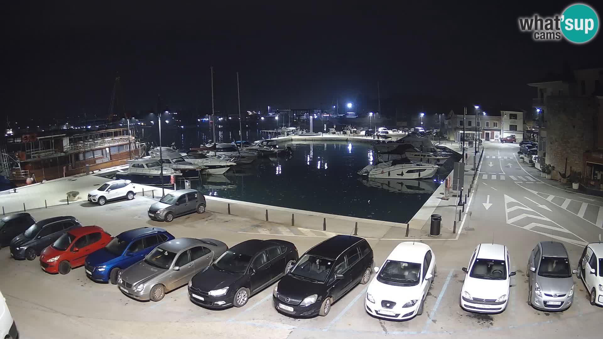Novigrad | Porporela marina