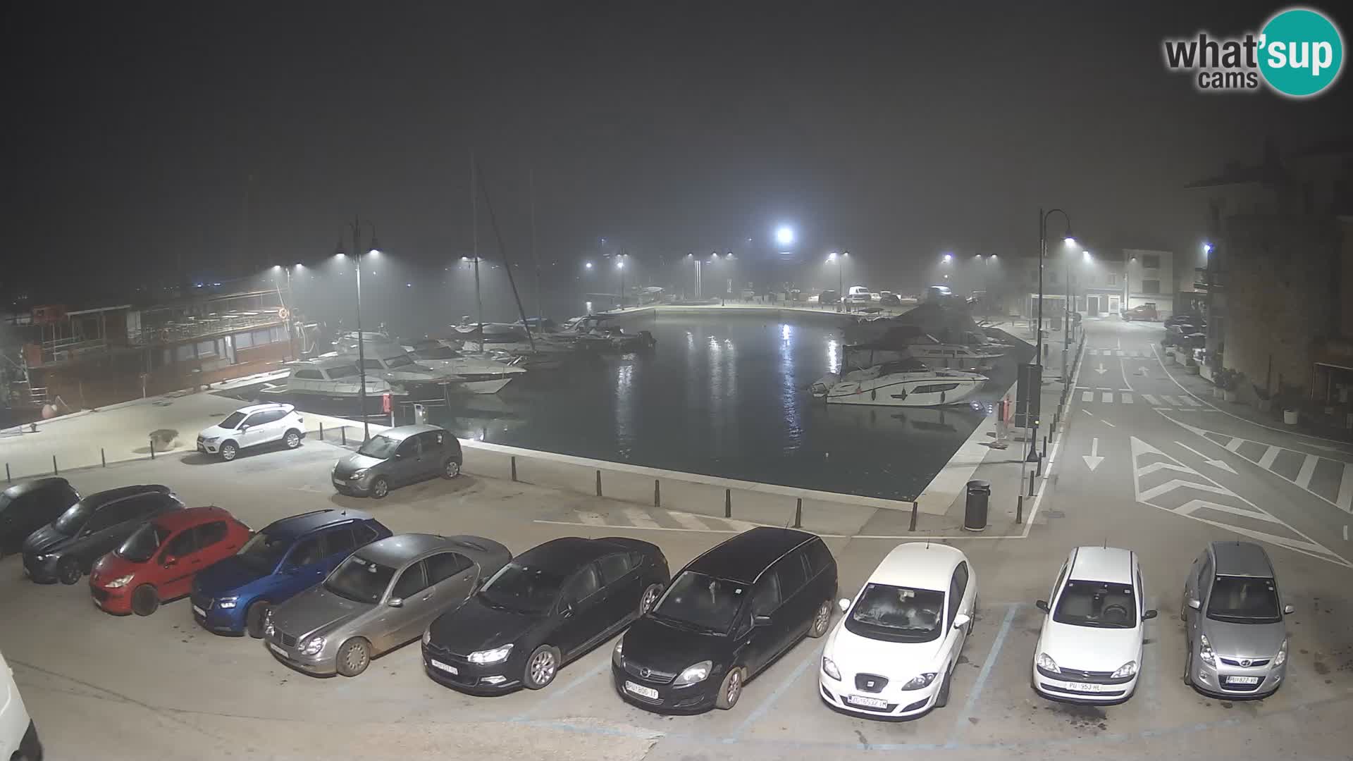 Novigrad | Porporela marina