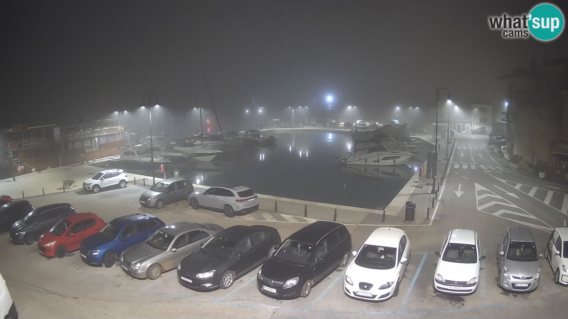 Novigrad | Porporela marina