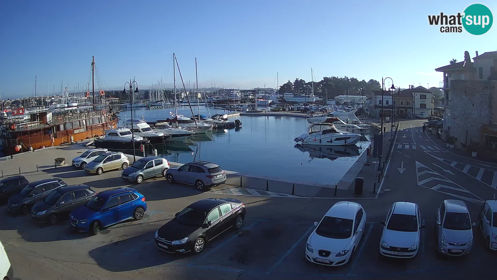 Novigrad | Porporela marina