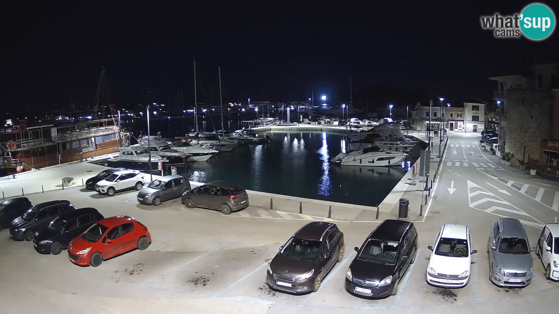 Novigrad | Porporela marina