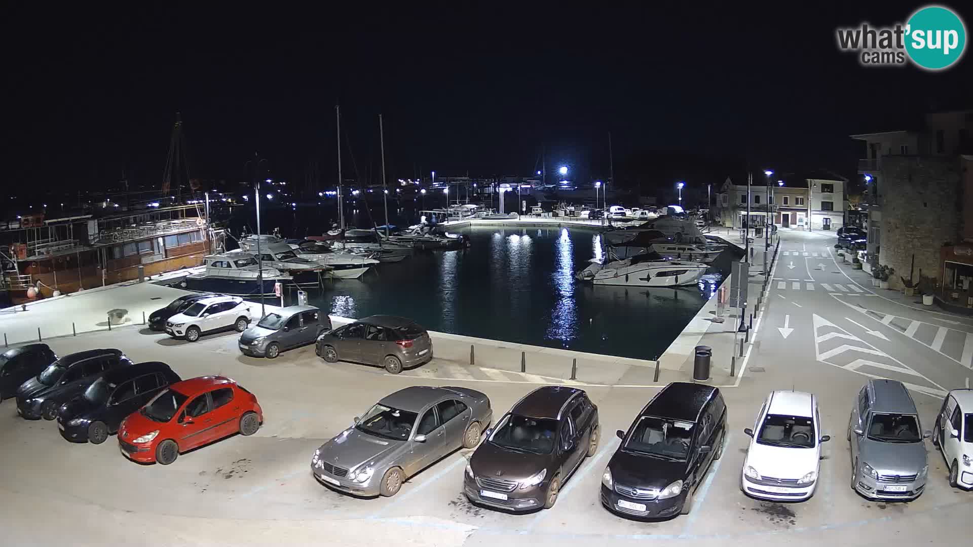 Novigrad | Porporela marina