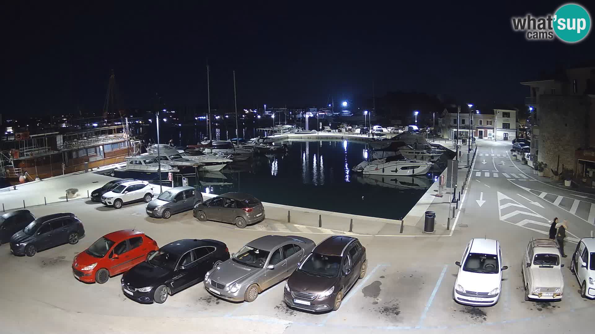 Novigrad | Porporela marina