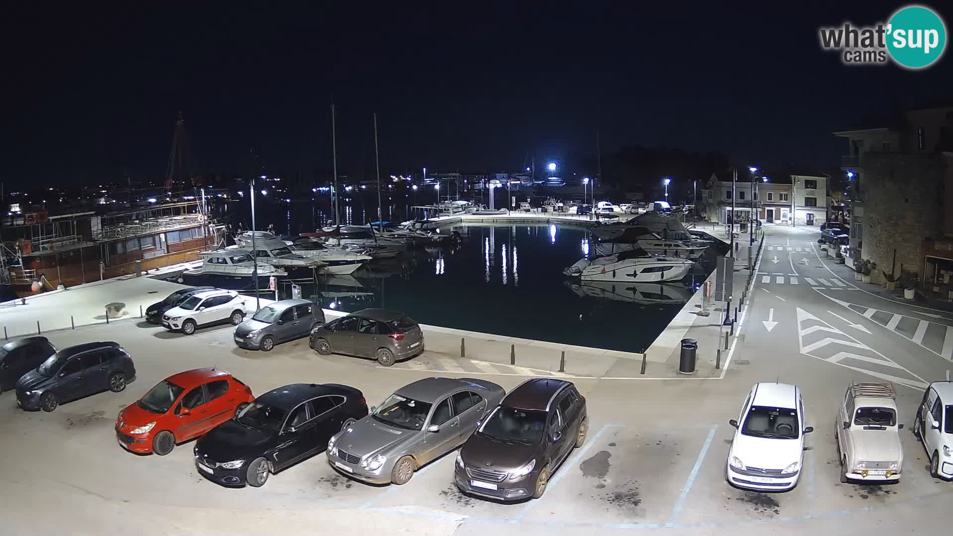 Novigrad | Porporela marina