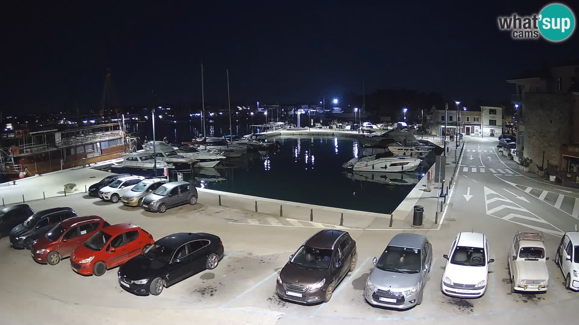 Novigrad | Porporela marina