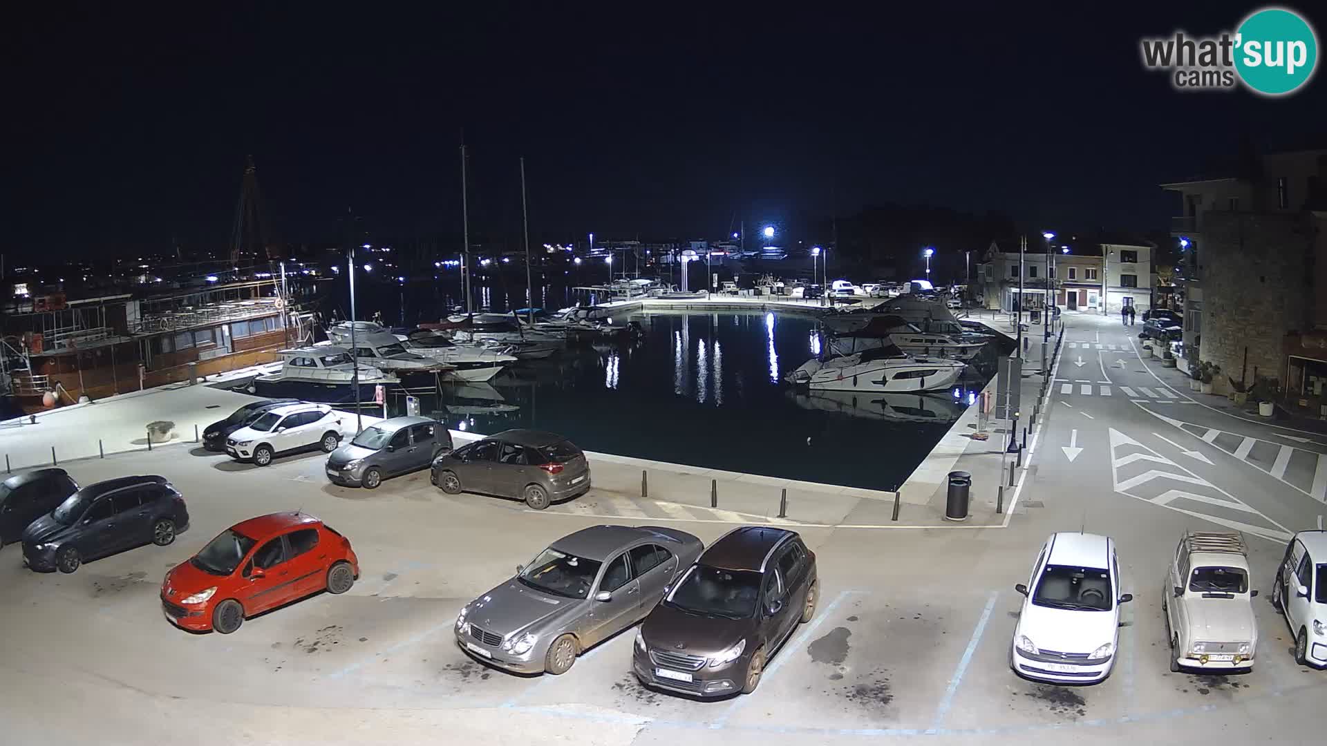 Novigrad | Porporela marina