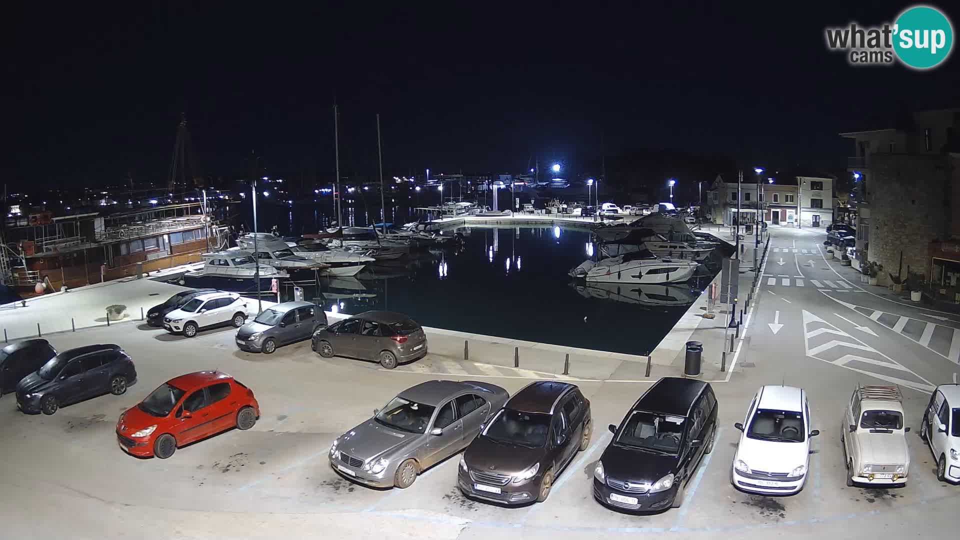 Novigrad | Porporela marina