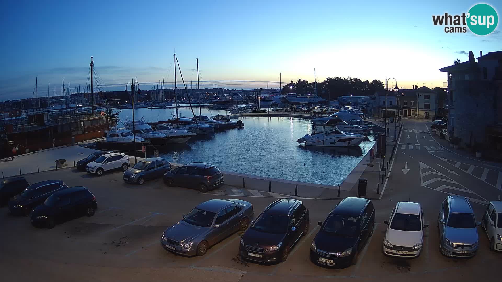 Novigrad | Porporela marina